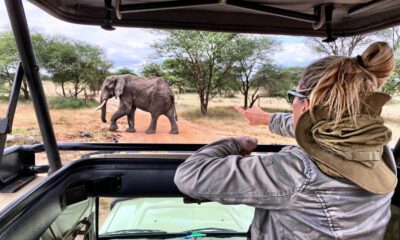 Safari day trips from Cape Town, Aquila Private Game Reserve, Inverdoorn Private Game Reserve, Big Five safari Cape Town, Cape Town safari experience, Western Cape game reserves, Cape Town wildlife safari, Private game reserves South Africa, Safari near Cape Town, Day safari Western Cape